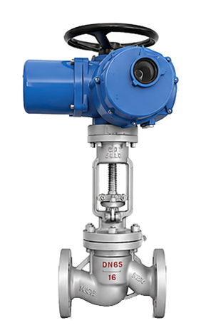Reactor Globe Valve